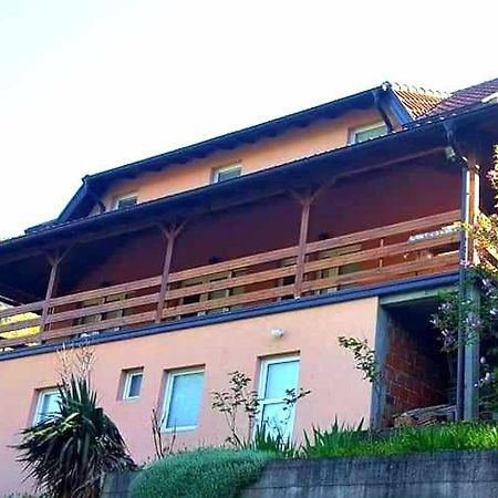 Apartment Dobra Vila ペルチャツ エクステリア 写真